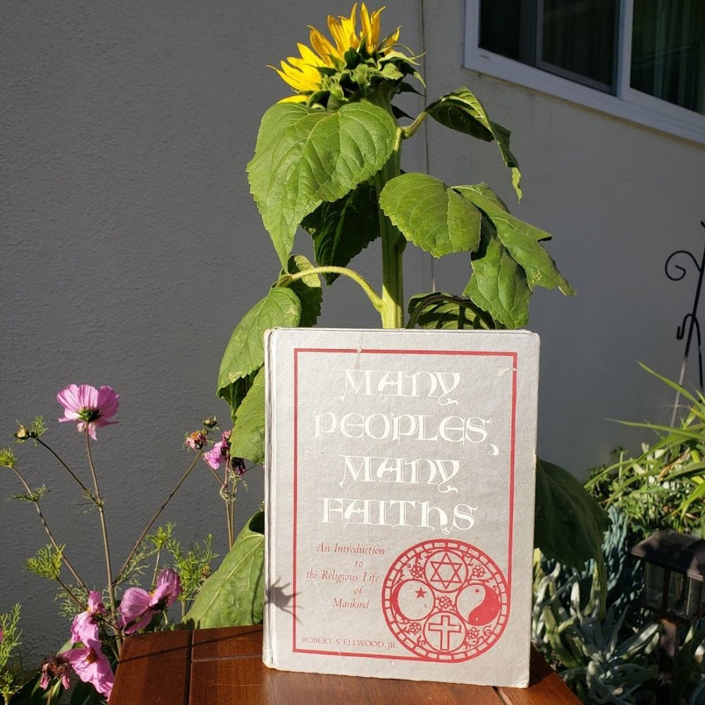 Many Peoples, Many Faiths Religious Life of Mankind Book By Robert S. Ellwood Jr